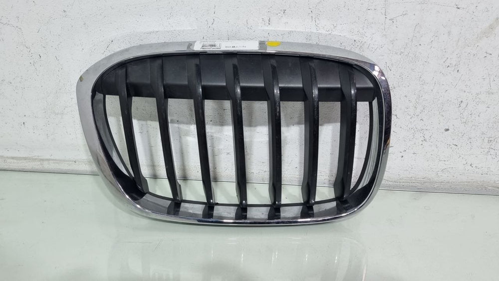 Grade Diant Dir BMW X1 2016/2019