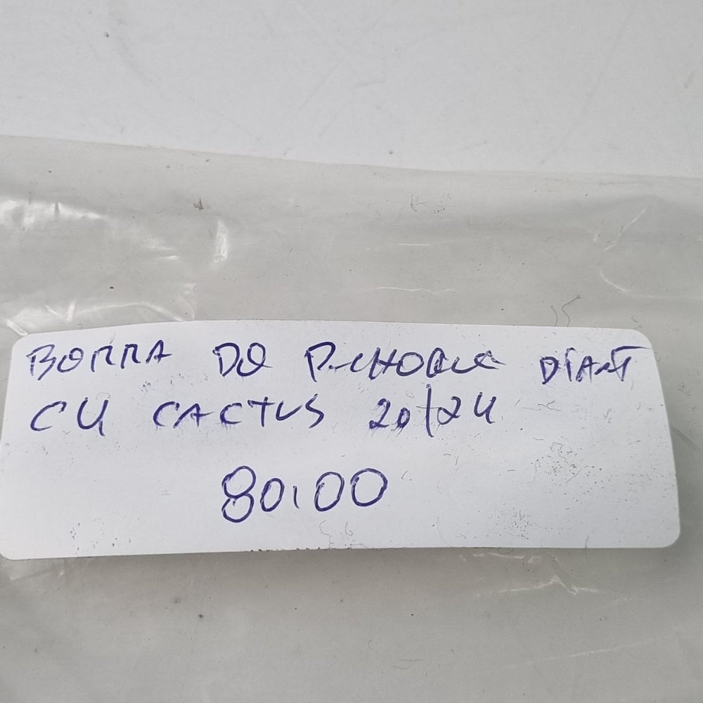 Borracha Para-Choque Dianteiro Citroën C4 Cactus 2020/2024 Nova