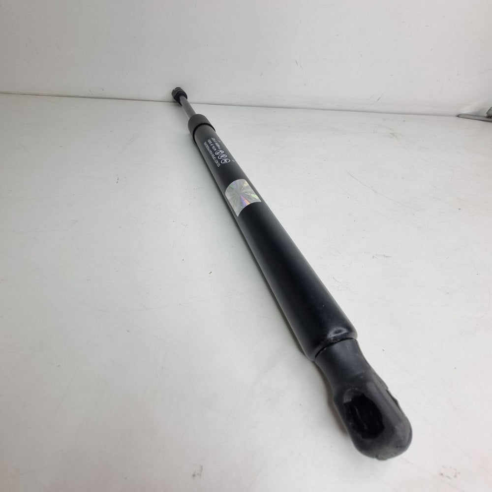 Amortecedor Tampa Traseira Chrysler 300C Touring 2004/2010 Novo