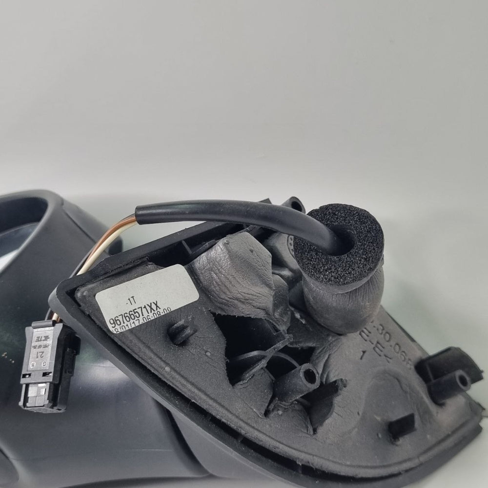 Retrovisor Lado esquerdo elétrico C305/12