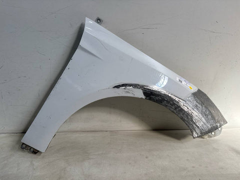 Paralama Diant Dir Ford Focus 2013/2019 Usado