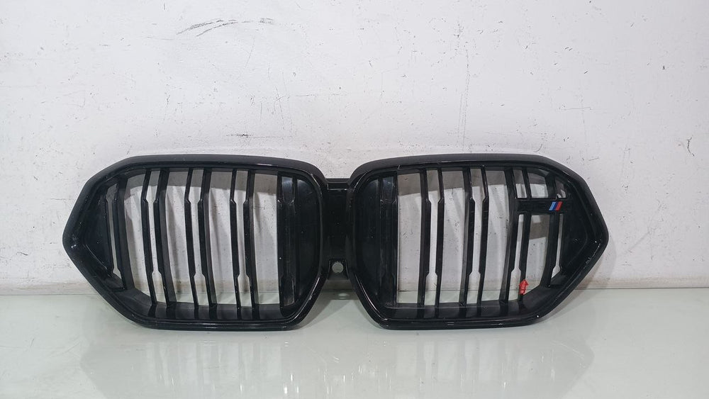 Grade Frontal BMW X6 2020/2023 Usada