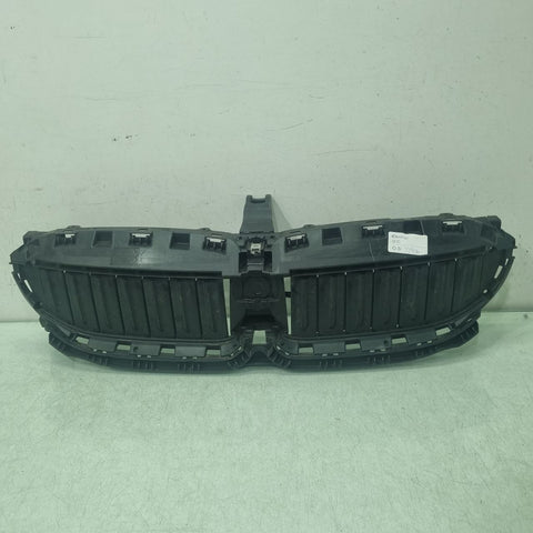Grade Diant BMW Serie 3 F30 2012/2019 Usado