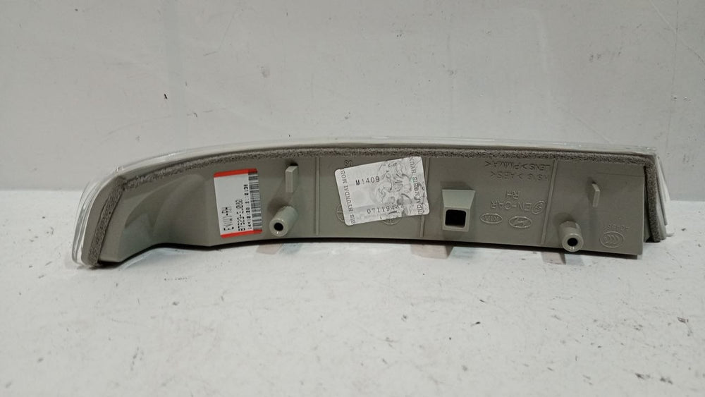Pisca Retrovisor Direito Hyundai Santa Fe 2007/2013 Usado